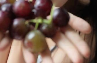 下载51吃瓜官网的小伙伴们，感受一下这如梦似幻的体验！