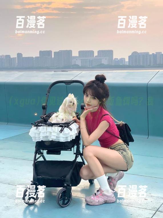 你见过xgua的ios版鱼饵吗？我差点被钓到了！