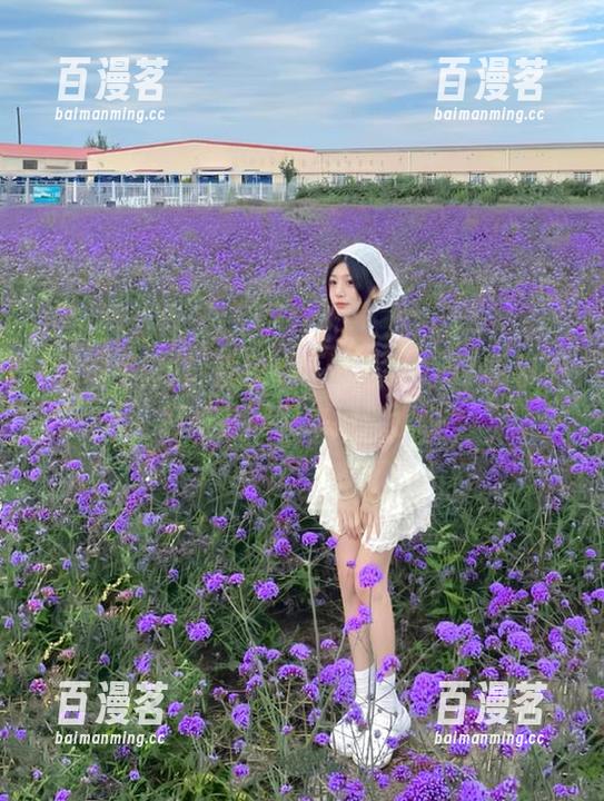 隔壁小区的八卦，51黑料不打烊官网又来搅浑水啦